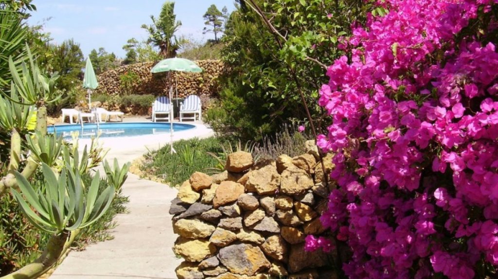 VACACIONES EN EL NORTE DE TENERIFE